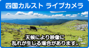 ライブカメラ