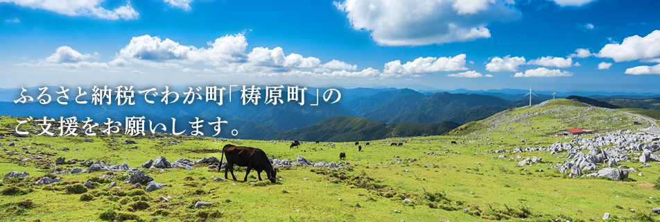 ふるさと納税でわが町「梼原町」のご支援をお願いします。